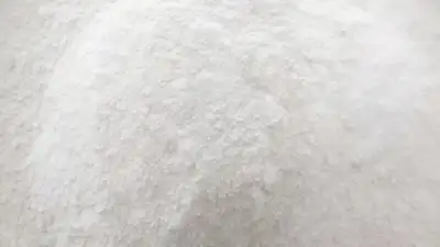 نبذة عن الشركة