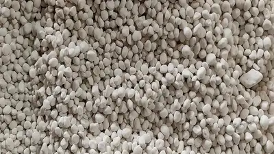 نبذة عن الشركة