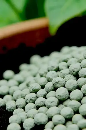 خطوط إنتاج الأسمدة العضوية والأسمدة بطيئة الإطلاق