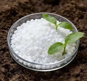 خطوط إنتاج الأسمدة النيتروجينية