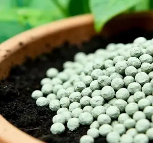 خطوط إنتاج الأسمدة العضوية والأسمدة بطيئة الإطلاق